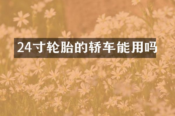 24寸轮胎的轿车能用吗