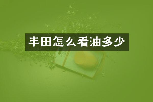 丰田怎么看油多少