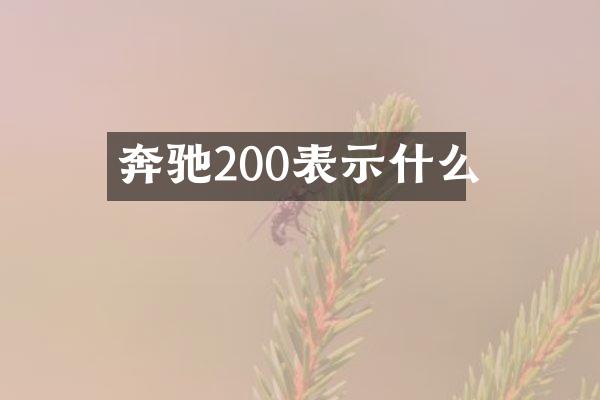 奔驰200表示什么