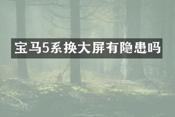 宝马5系换大屏有隐患吗