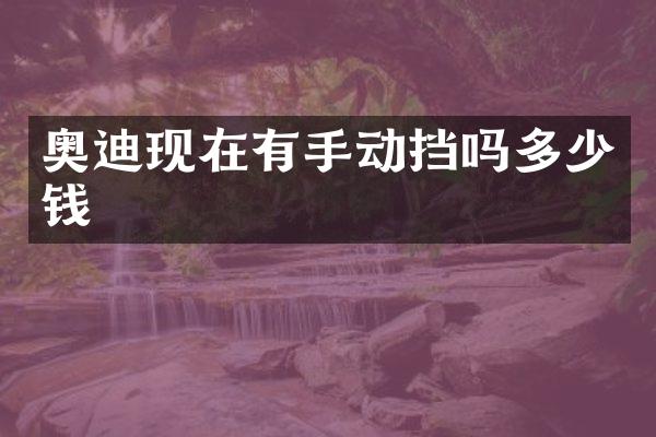 奥迪现在有手动挡吗多少钱