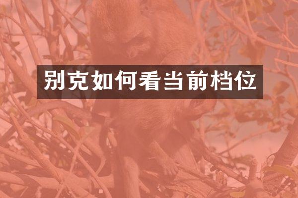 别克如何看当前档位