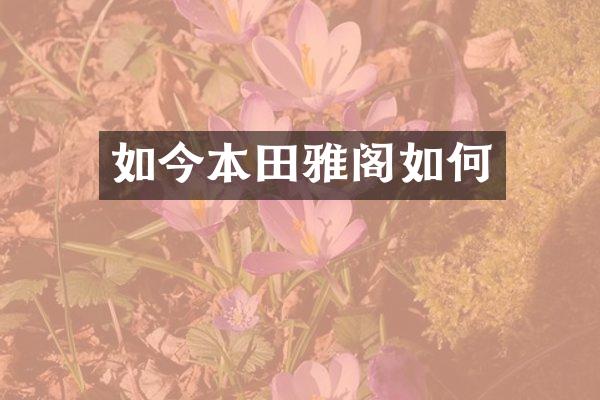 如今本田雅阁如何