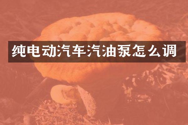 纯电动汽车汽油泵怎么调