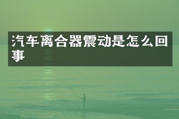 汽车离合器震动是怎么回事