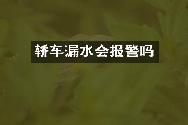 轿车漏水会报警吗