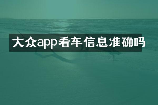 大众app看车信息准确吗