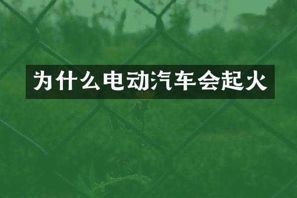 为什么电动汽车会起火