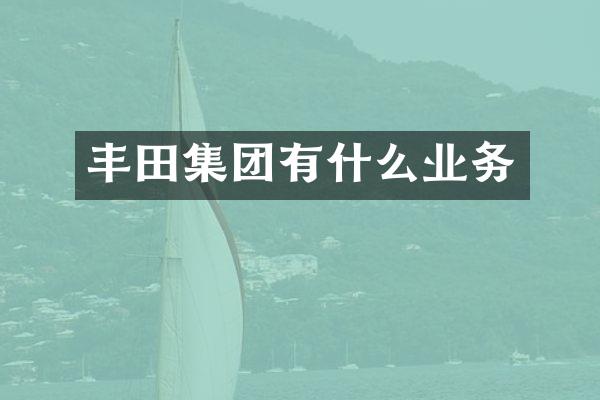丰田集团有什么业务