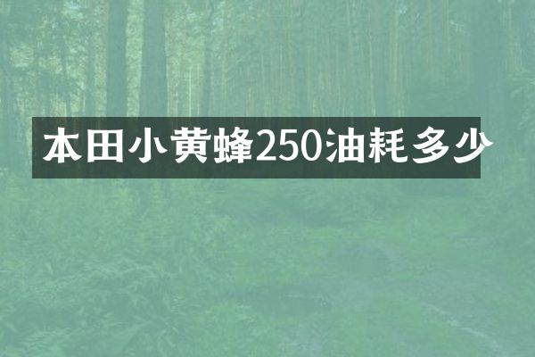 本田小黄蜂250油耗多少