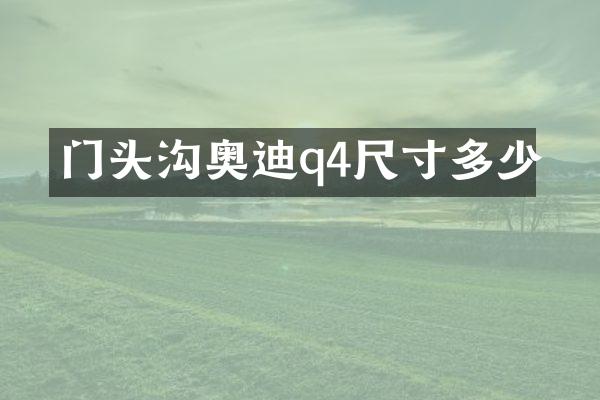 门头沟奥迪q4尺寸多少