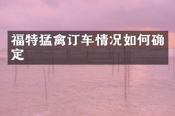 福特猛禽订车情况如何确定