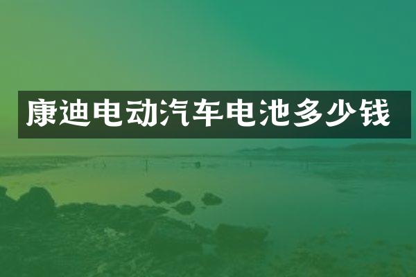 康迪电动汽车电池多少钱