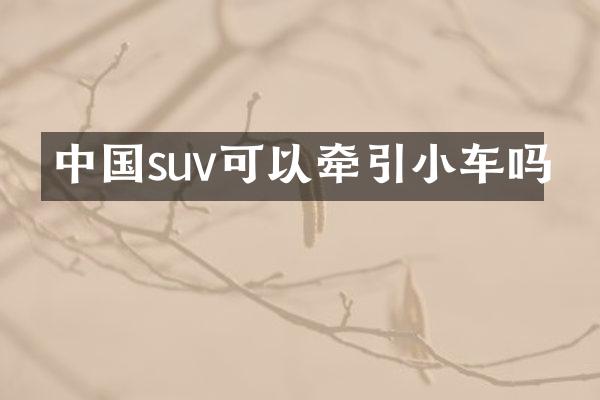 中国suv可以牵引小车吗