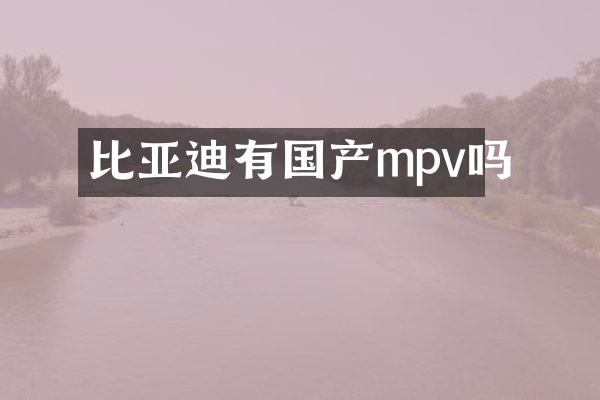 比亚迪有国产mpv吗