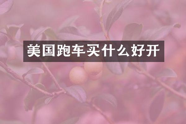 美国跑车好开