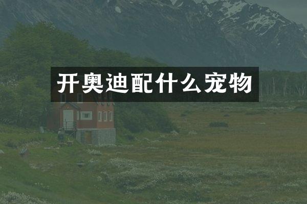 开奥迪配什么宠物