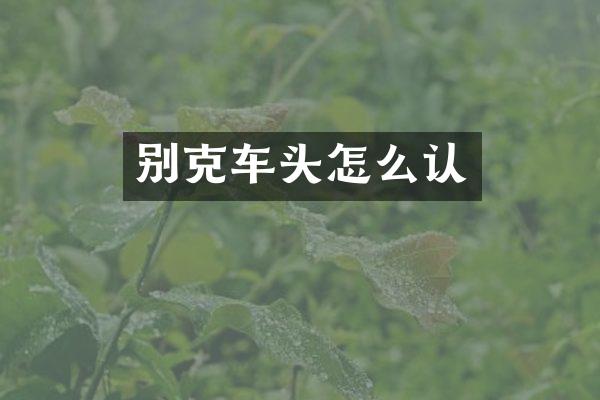 别克车头怎么认