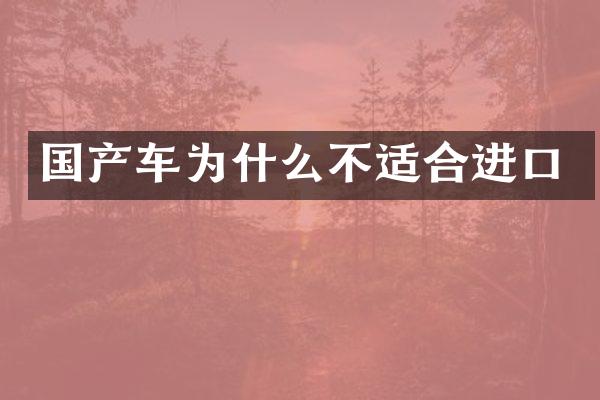 国产车为什么不适合进口