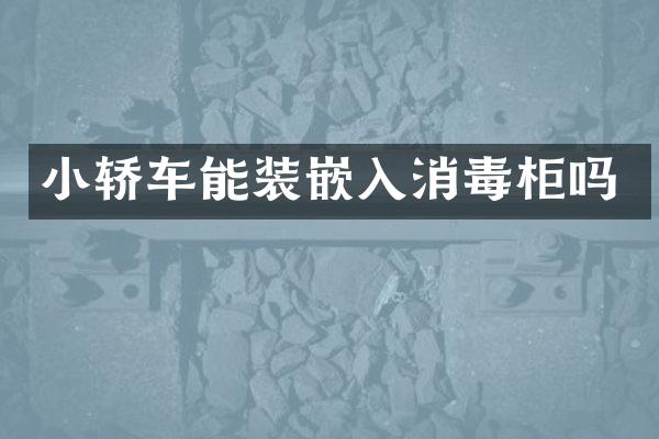 小轿车能装嵌入消毒柜吗