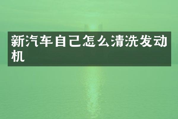 新汽车自己怎么清洗发动机