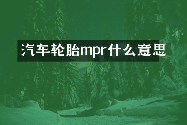 汽车轮胎mpr什么意思