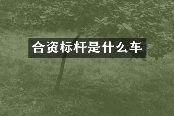 合资标杆是什么车