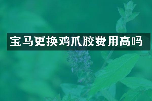 宝马更换鸡爪胶费用高吗