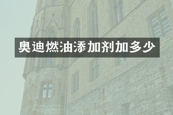 奥迪燃油添加剂加多少