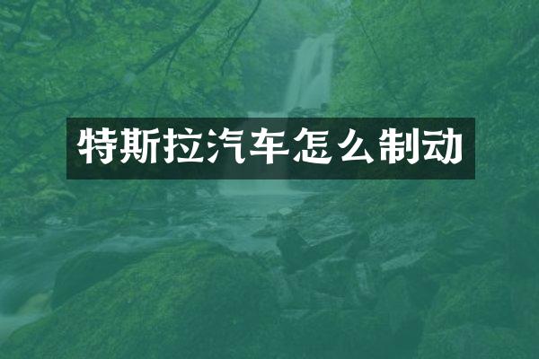 特斯拉汽车怎么制动