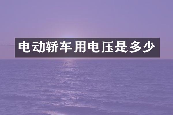 电动轿车用电压是多少