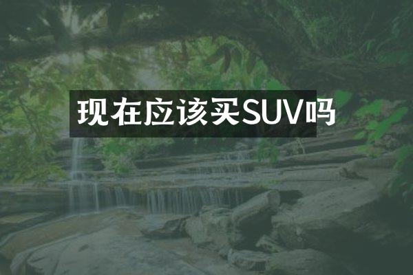 现在应该买SUV吗