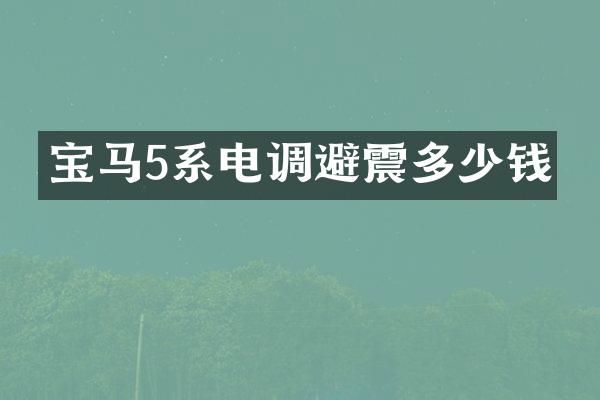 宝马5系电调避震多少钱