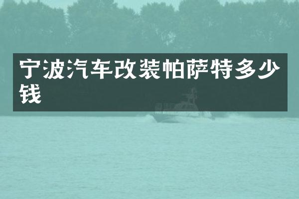宁波汽车改装帕萨特多少钱