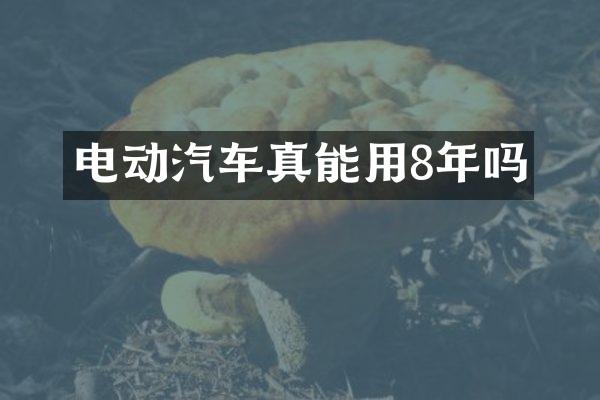 电动汽车真能用8年吗