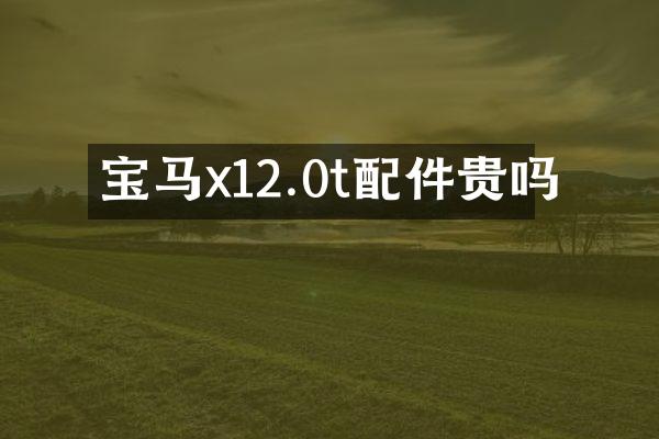 宝马x12.0t配件贵吗