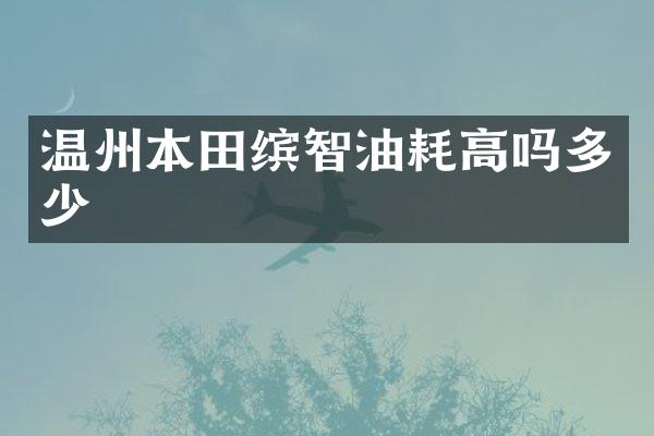 温州本田缤智油耗高吗多少