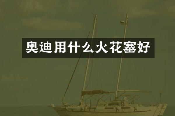 奥迪用什么火花塞好