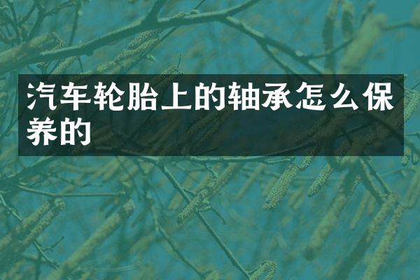 汽车轮胎上的轴承怎么保养的