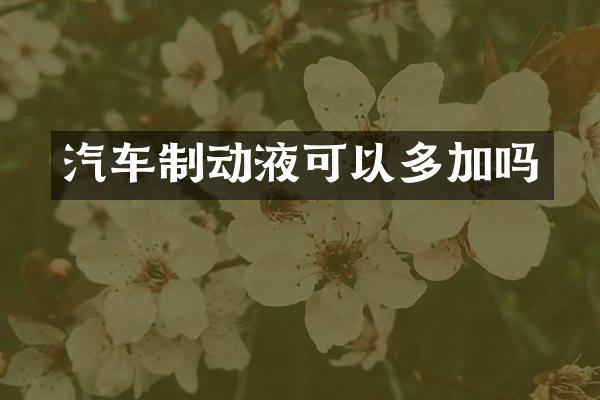 汽车制动液可以多加吗