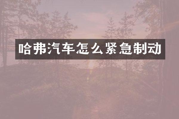 哈弗汽车怎么紧急制动