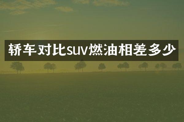 轿车对比suv燃油相差多少