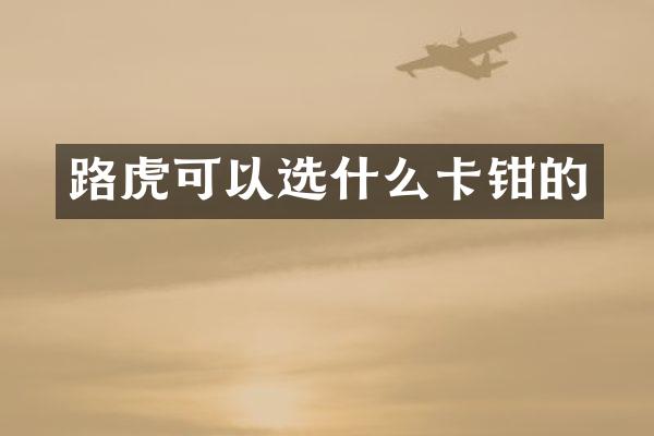 路虎可以选什么卡钳的