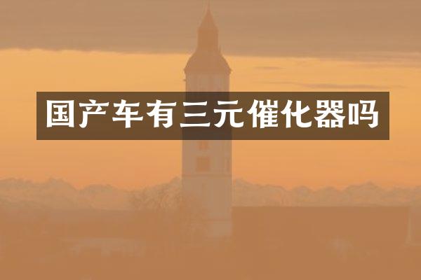 国产车有三元催化器吗