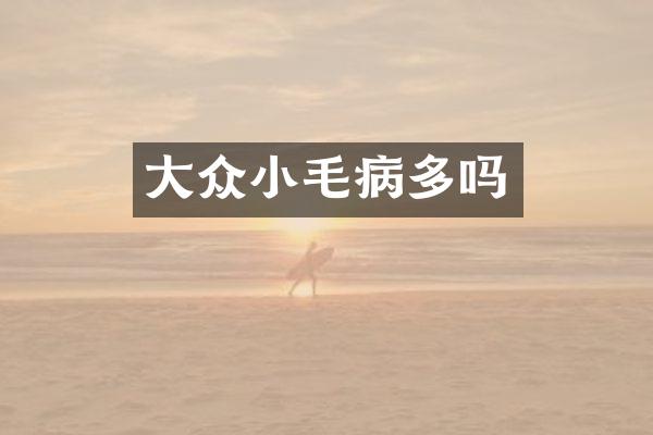 大众小毛病多吗