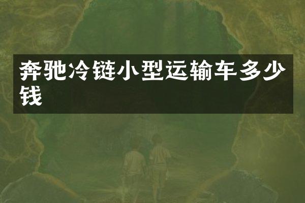奔驰冷链小型运输车多少钱