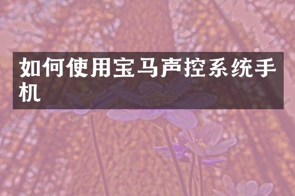 如何使用宝马声控系统手机