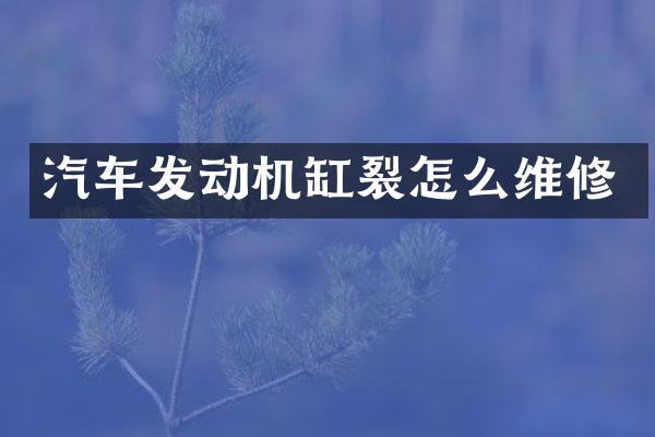 汽车发动机缸裂怎么维修