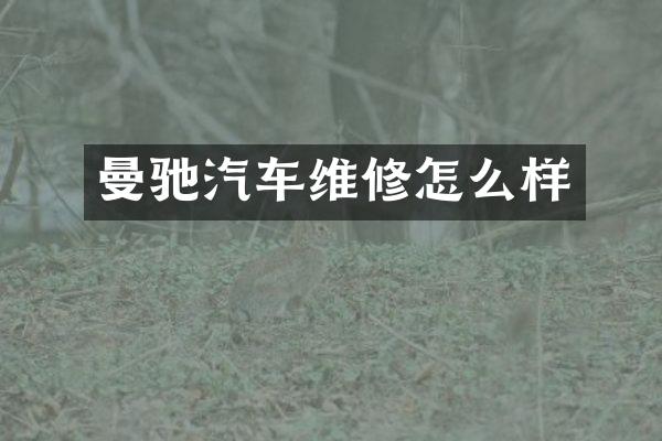 曼驰汽车维修怎么样