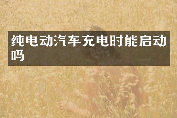 纯电动汽车充电时能启动吗